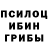 Псилоцибиновые грибы Psilocybe Justifier Tech