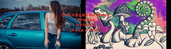 молекула духа Алексеевка