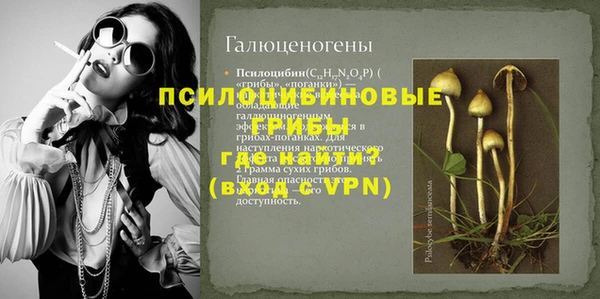 молекула духа Алексеевка