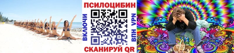 Галлюциногенные грибы Psilocybine cubensis  kraken ONION  Бабушкин 